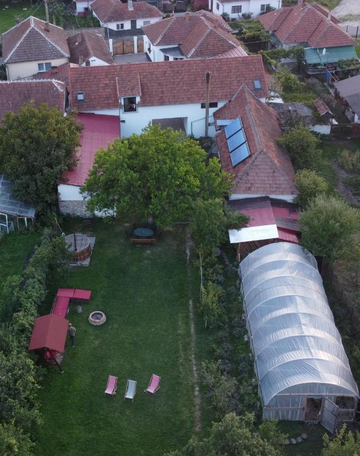 Casa Badea Hotel Riu Alb Esterno foto